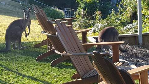 The Edgewater On Greville - Accommodation Main Beach 18