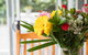Armidale Cottage - House 2 - thumb 12