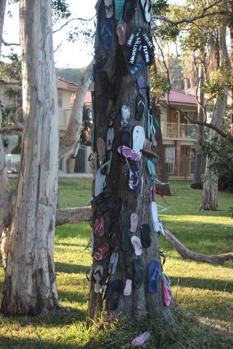 Ambience - Accommodation Main Beach 33