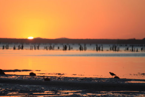 Ambience - Accommodation Main Beach 35