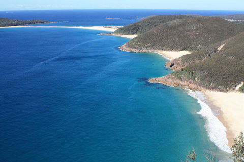 Ambience - Accommodation Main Beach 29