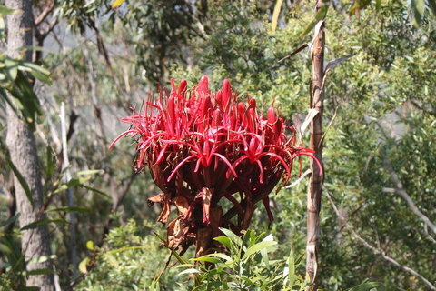 Ambience - Accommodation Main Beach 30