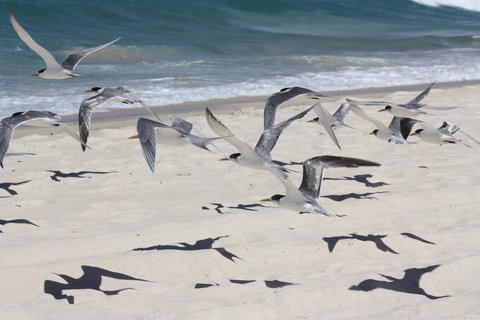 Ambience - Accommodation Main Beach 32