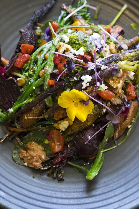 Sage Hotel Wollongong - Accommodation Main Beach 21