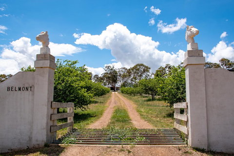 Belmont - Accommodation Main Beach 5