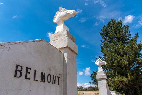 Belmont - Accommodation Main Beach 4