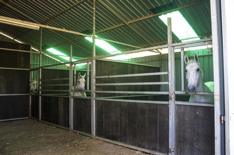 Allonville Gardens Motel - Accommodation Main Beach 33