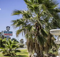 Allonville Gardens Motel - Accommodation Main Beach