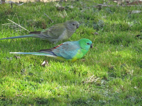 Allonville Gardens Motel - Accommodation Main Beach 35