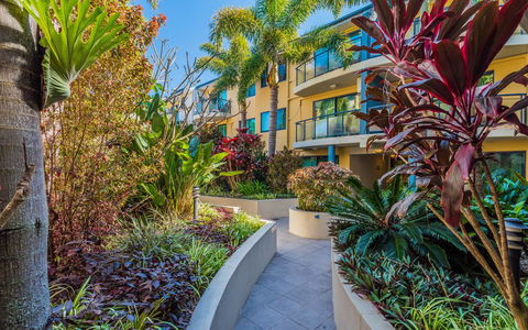 The Cove Yamba - Accommodation Main Beach 26