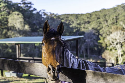 The Outlook Cabana - Accommodation Main Beach 19