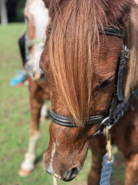The Outlook Cabana - Accommodation Main Beach 17