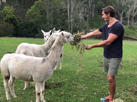 The Outlook Cabana - Accommodation Main Beach 20
