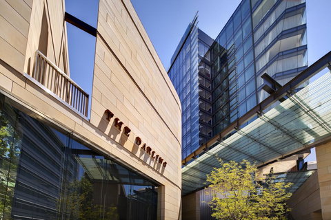 The Darling At The Star - Accommodation Main Beach 14