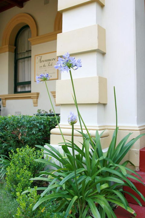 Avonmore On The Park Boutique Hotel - Accommodation Main Beach 15