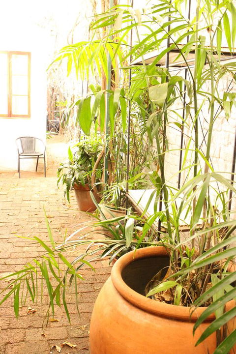 Newtown Cozy Stays - Accommodation Main Beach 10