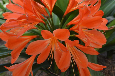 JE Guesthouse, Central To All The Hunter Valley Has To Offer - Accommodation Main Beach 39