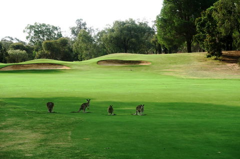 Mulwala Resort - Accommodation Main Beach 40