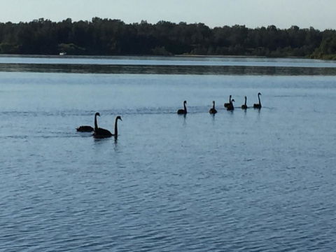 Swan Bay Hideaway - Accommodation Main Beach 7
