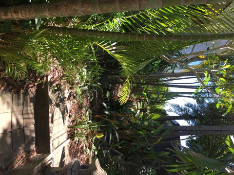 Swan Bay Hideaway - Accommodation Main Beach 9