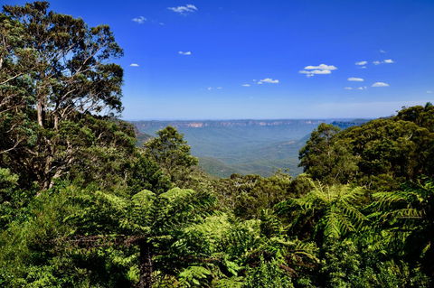 Dangal Gardens - Accommodation Main Beach 28