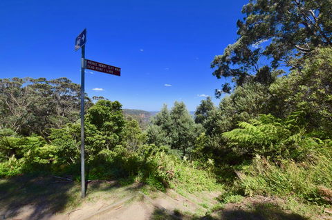 Dangal Gardens - Accommodation Main Beach 30