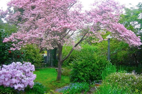 Dangal Gardens - Accommodation Main Beach 3