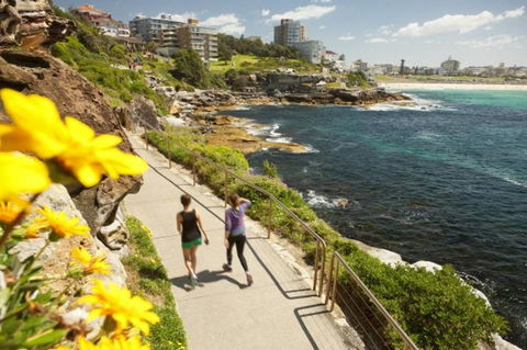 BONDI BEACH PRIME 1 Bedroom + Sunroom - Accommodation Main Beach 16