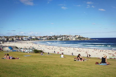 BONDI BEACH PRIME 1 Bedroom + Sunroom - Accommodation Main Beach 11