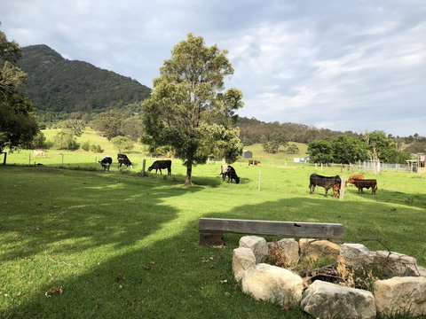 Arcadia - The Barn Cottage & Rosehill Cottage - Accommodation Main Beach 29