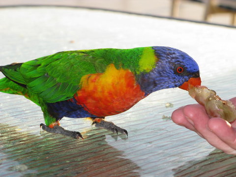 Baywatch Apartments Merimbula - Accommodation Main Beach 22