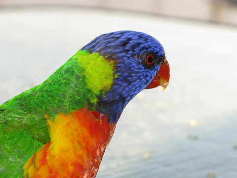 Baywatch Apartments Merimbula - Accommodation Main Beach 23