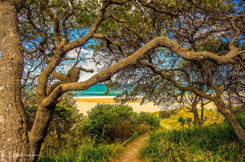 Valla's Beach House - Accommodation Main Beach 2