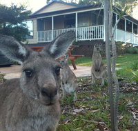 Bush  Bay Cottage - Accommodation Main Beach