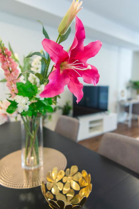 Sydney CBD Brand New Apartments With Hyde Park View - Accommodation Main Beach 6