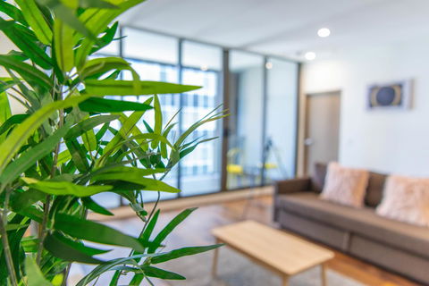 Sydney CBD Brand New Apartments With Hyde Park View - Accommodation Main Beach 5