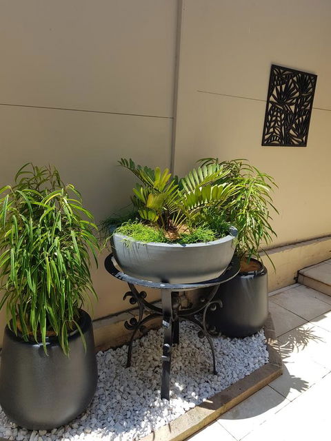 Private Room - Luxury Mosman Home - Accommodation Main Beach 33