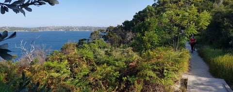 Private Room - Luxury Mosman Home - Accommodation Main Beach 43