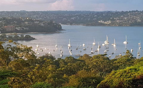 Private Room - Luxury Mosman Home - Accommodation Main Beach 3