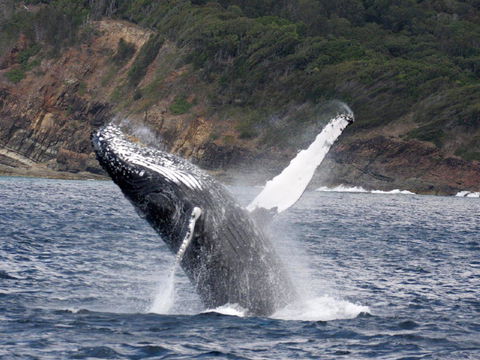 Braemar 9 - Accommodation Main Beach 8