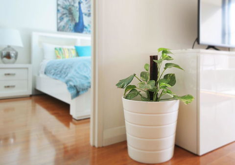 Sydney Apartment Close To Airport & CBD - Accommodation Main Beach 7