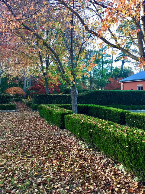 Chanticleer Gardens Barn Cottage With A Pool - Accommodation Main Beach 37