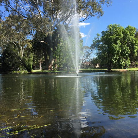 Deniliquin Motel - Accommodation Main Beach 2