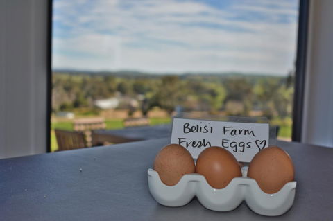 Belisi Farmstay Cottage - Accommodation Main Beach 20