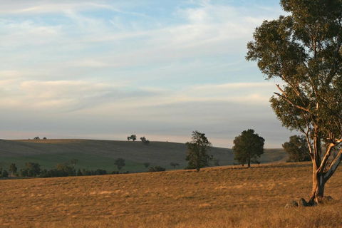 Belisi Farmstay Cottage - Accommodation Main Beach 33