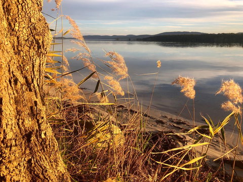 Lakeview Cottage - Accommodation Main Beach 14