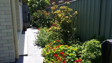 Sydney Amazing Holiday Home Bridal BnB - Accommodation Main Beach 41