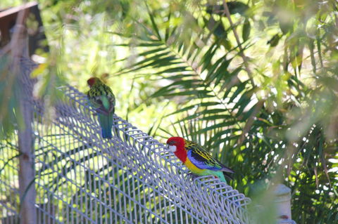 Marty's @ Little Beach - Accommodation Main Beach 27