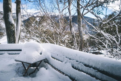 Pure Chalet Thredbo - Accommodation Main Beach 19