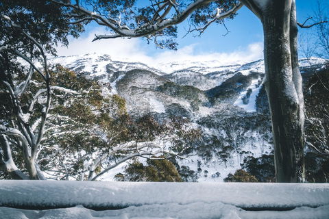 Pure Chalet Thredbo - Accommodation Main Beach 2